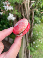 Load image into Gallery viewer, Strawberry Matcha
