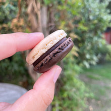 Load image into Gallery viewer, Berry and Guinness
