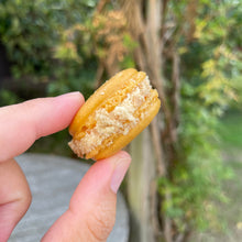 Load image into Gallery viewer, Apple Crumble Custard
