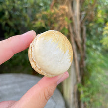 Load image into Gallery viewer, Hazelnut Praline
