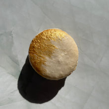 Load image into Gallery viewer, Hazelnut Praline

